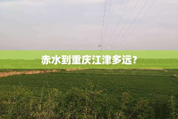 赤水到重庆江津多远？