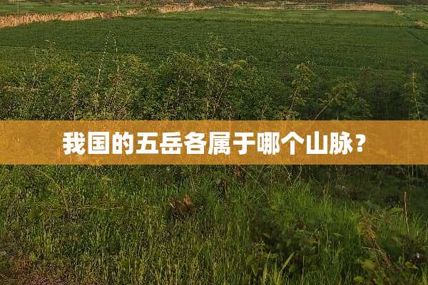 我国的五岳各属于哪个山脉？