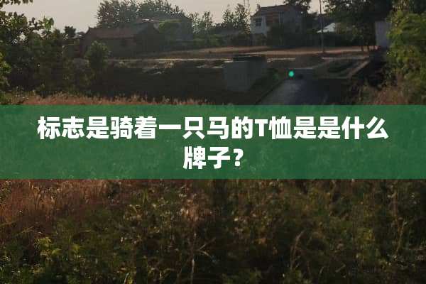 标志是骑着一只马的T恤是是什么牌子？