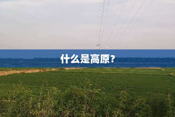 什么是高原？