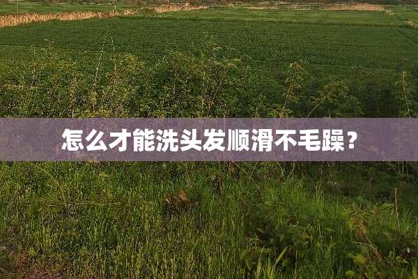 怎么才能洗头发顺滑不毛躁？