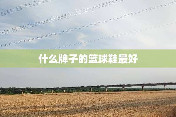 什么牌子的篮球鞋最好