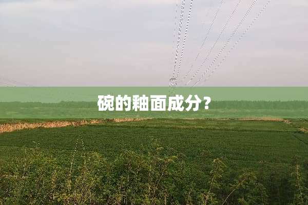 碗的釉面成分？