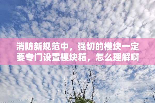 消防新规范中，强切的模块一定要专门设置模块箱，怎么理解啊
