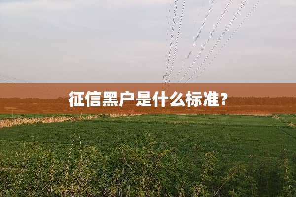 征信黑户是什么标准？