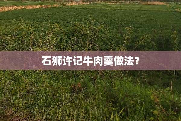 石狮许记牛肉羹做法？