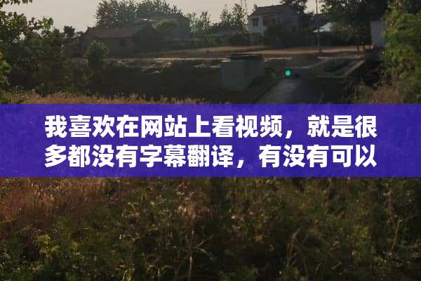 我喜欢在网站上看视频，就是很多都没有字幕翻译，有没有可以直接听译的？