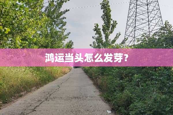 鸿运当头怎么发芽？