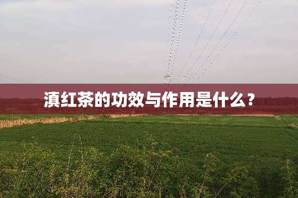 滇红茶的功效与作用是什么？
