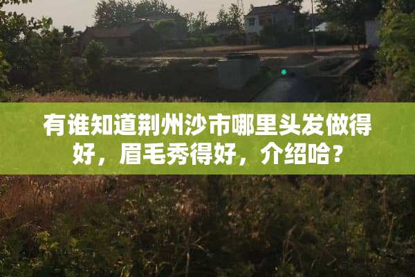 有谁知道荆州沙市哪里头发做得好，眉毛秀得好，介绍哈？