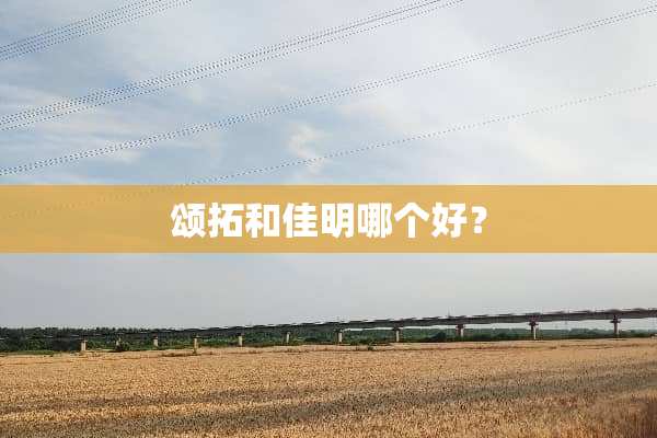 颂拓和佳明哪个好？