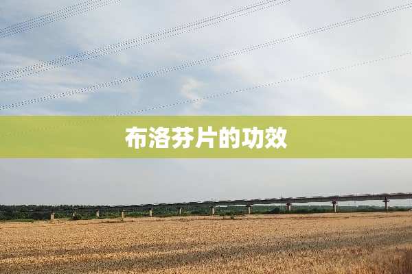 布洛芬片的功效