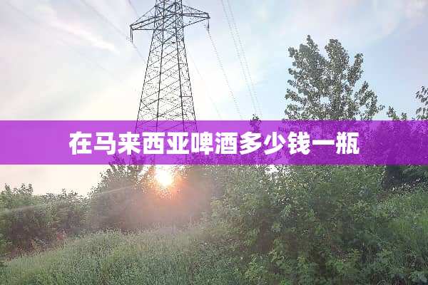 在马来西亚啤酒多少钱一瓶