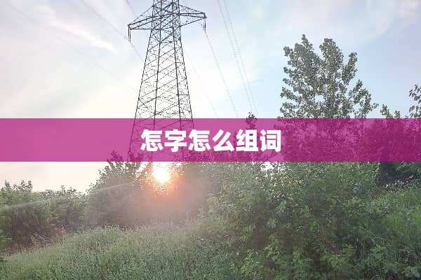 怎字怎么组词