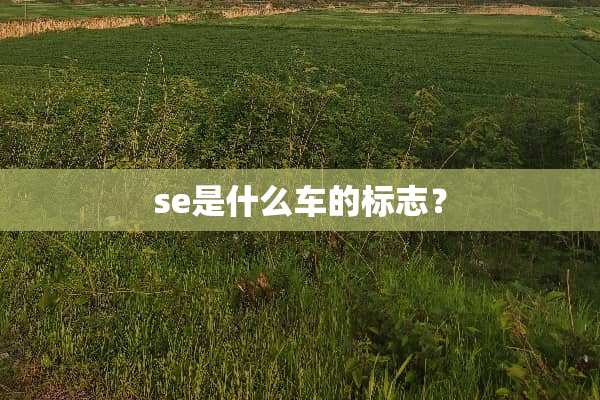 se是什么车的标志？