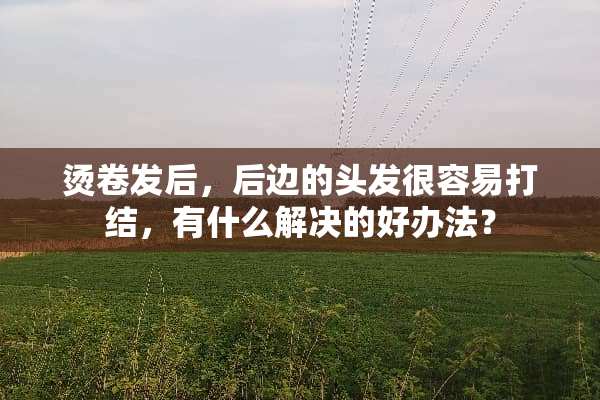 烫卷发后，后边的头发很容易打结，有什么解决的好办法？