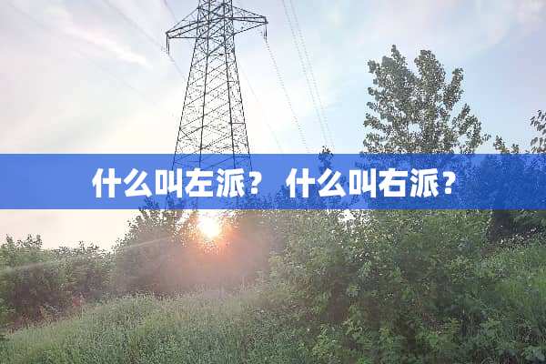 什么叫左派？ 什么叫**？