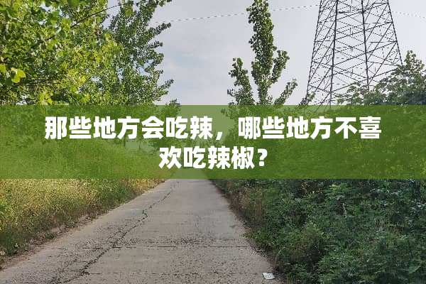 那些地方会吃辣，哪些地方不喜欢吃辣椒？