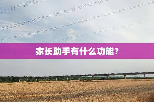 家长助手有什么功能？