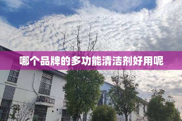 哪个品牌的多功能清洁剂好用呢