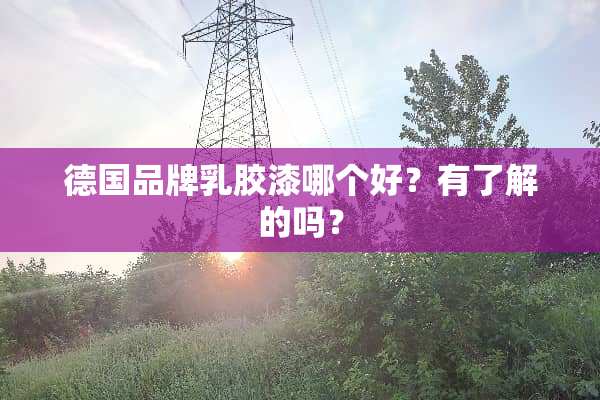 德国品牌*胶漆哪个好？有了解的吗？