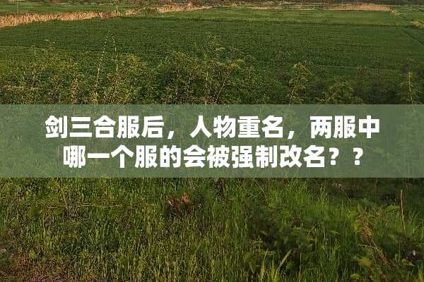 剑三合服后，人物重名，两服中哪一个服的会被强制改名？？