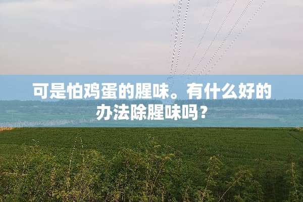可是怕鸡蛋的腥味。有什么好的办法除腥味吗？