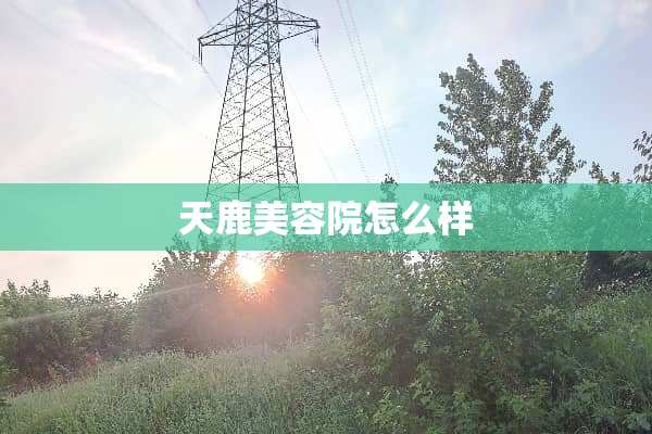 天鹿美容院怎么样