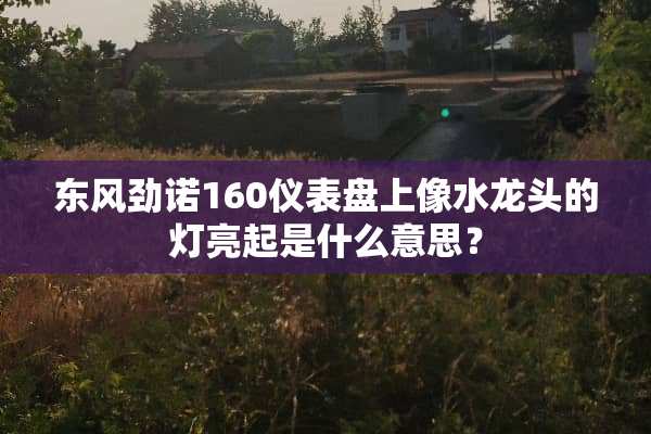 东风劲诺160仪表盘上像水龙头的灯亮起是什么意思？