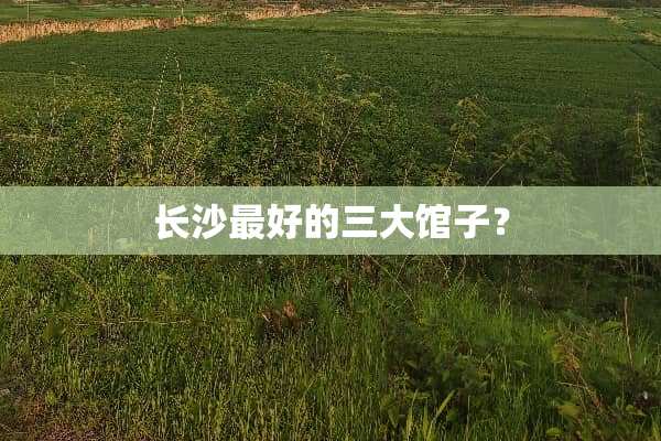 长沙最好的三大馆子？