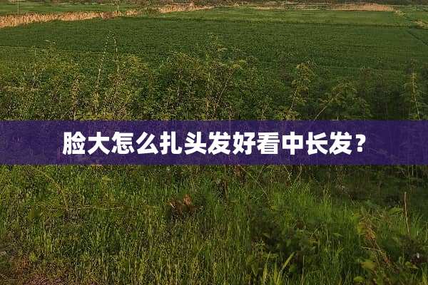 脸大怎么扎头发好看中长发？