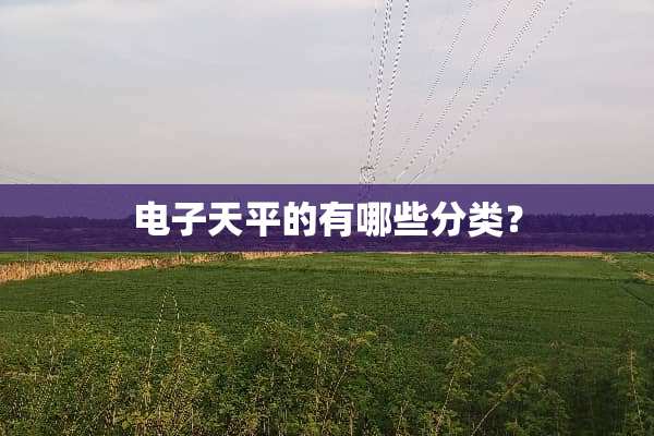 电子天平的有哪些分类？