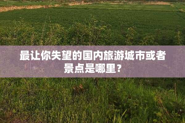 最让你失望的国内旅游城市或者景点是哪里？