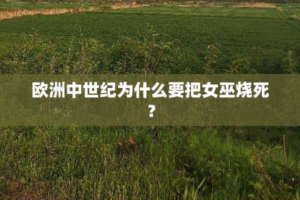 欧洲中世纪为什么要把女巫烧死？