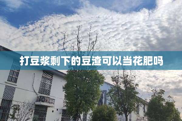 打豆浆剩下的豆渣可以当花肥吗