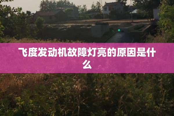 飞度发动机故障灯亮的原因是什么