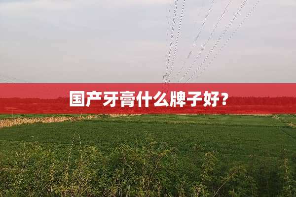 国产牙膏什么牌子好？