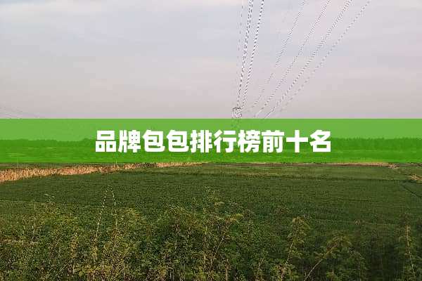 品牌包包排行榜前十名