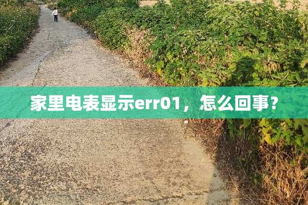 家里电表显示err01，怎么回事？