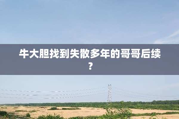 牛大胆找到失散多年的哥哥后续？