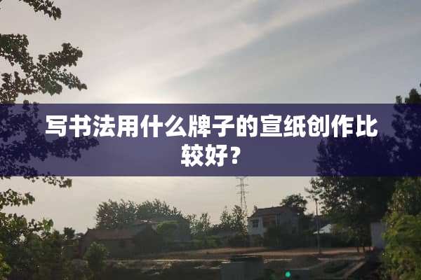 写书法用什么牌子的宣纸创作比较好？