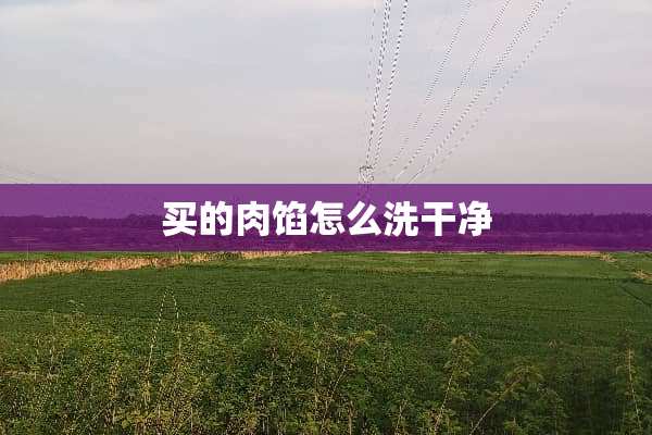 买的肉馅怎么洗干净