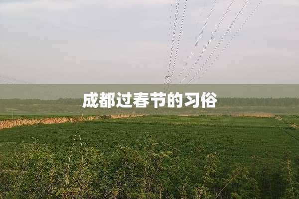 成都过春节的习俗