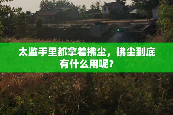 太监手里都拿着拂尘，拂尘到底有什么用呢？