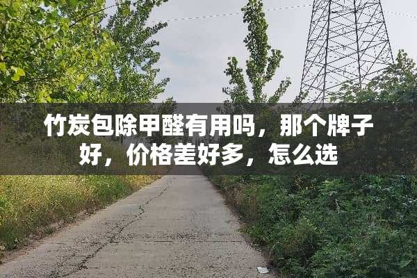 竹炭包除甲醛有用吗，那个牌子好，价格差好多，怎么选