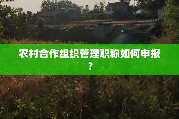 农村合作组织管理职称如何申报？