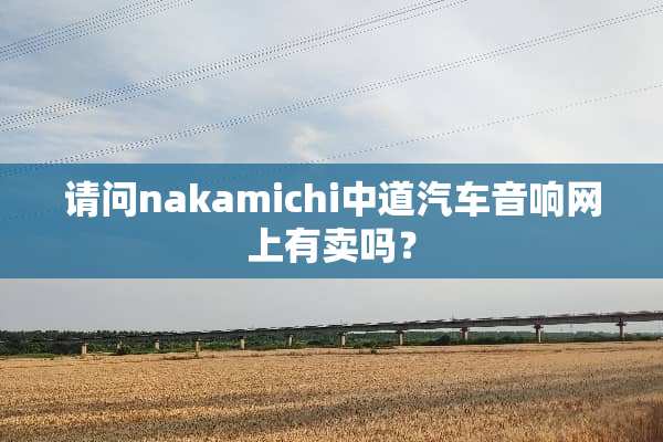 请问nakamichi中道汽车音响网上有卖吗？