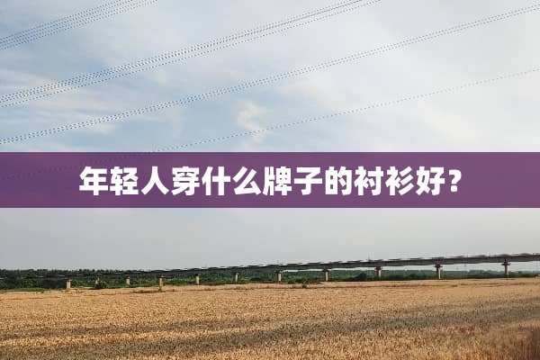 年轻人穿什么牌子的衬衫好？