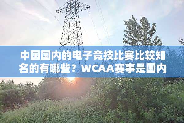 中国国内的电子竞技比赛比较知名的有哪些？WCAA赛事是国内的吗？