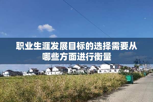 职业生涯发展目标的选择需要从哪些方面进行衡量